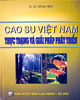 Cao Su Việt Nam Thực Trạng Và Giải Pháp Phát Triển